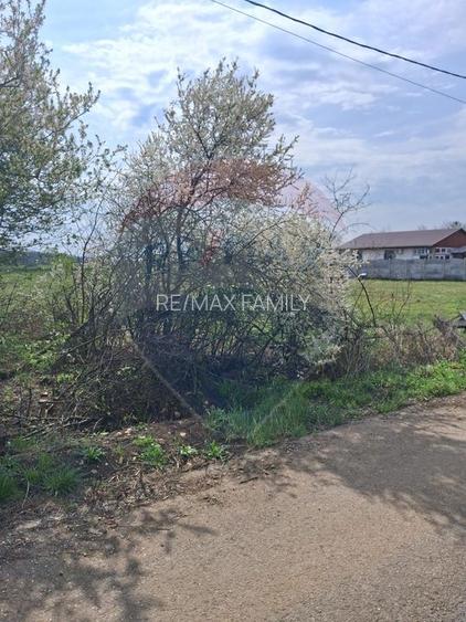 Teren 1,439mp Santaul Mare / Strada principala - 3