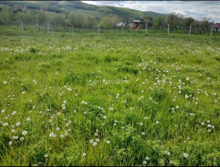 TEREN INTRAVILAN DE VÂNZARE – 1.000 MP - 2