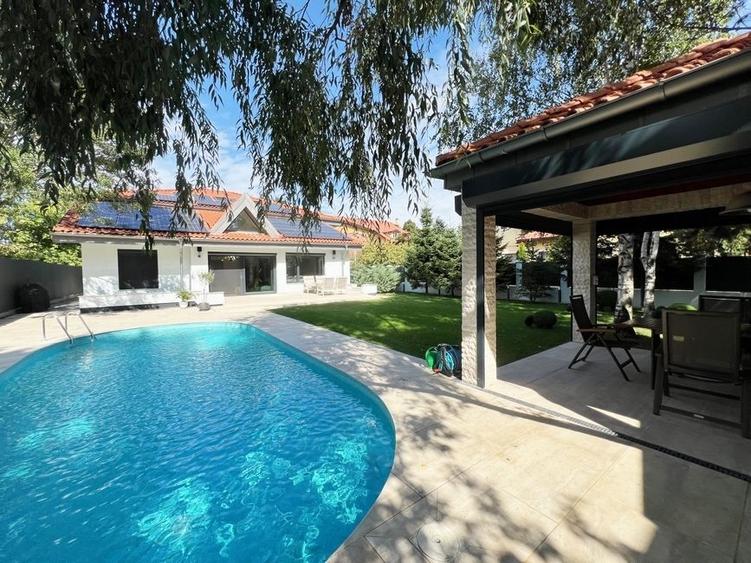 Vila de lux, stil contemporan - IANCU NICOLAE