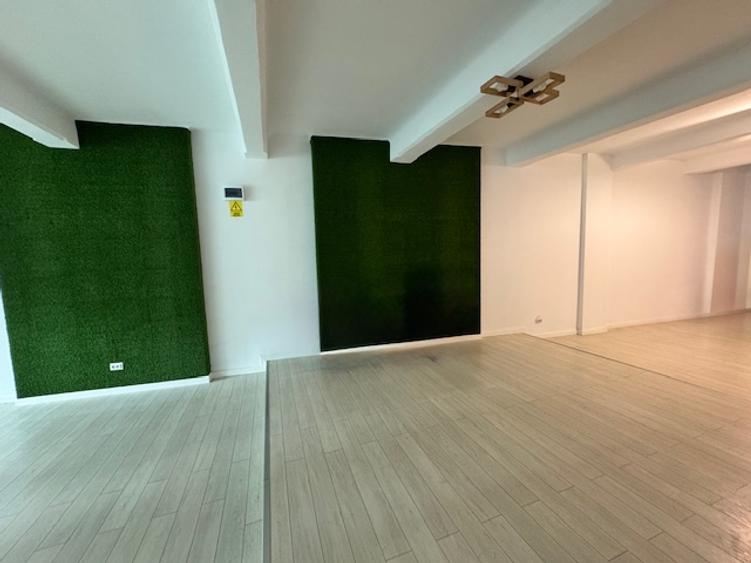 Piata Victoriei spatiu comercial