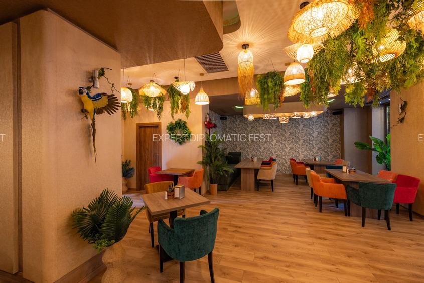 Decebal -DRISTORULUI -ALBA IULIA - 240 mp-PRET 5.000 EURO - 7