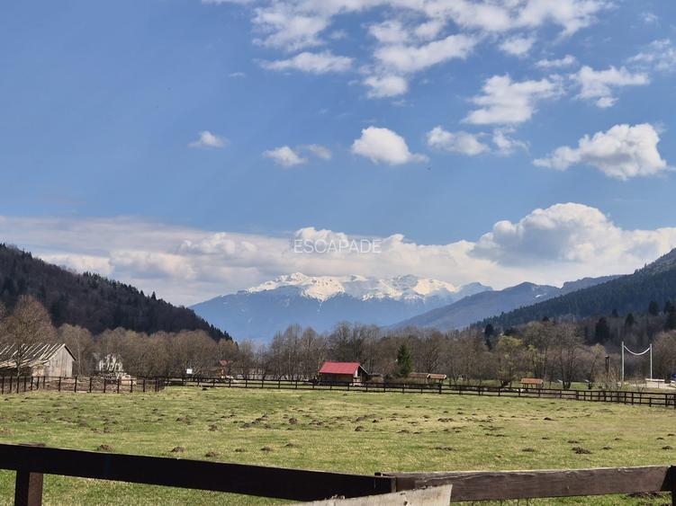 Teren investitie, superb intravilan 1200 mp, Plaiul Foii, vedere la munte - 14