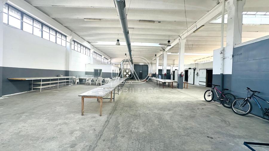 Proprietate industrială de vânzare – Târgu Jiu, Strada Ciocârlău