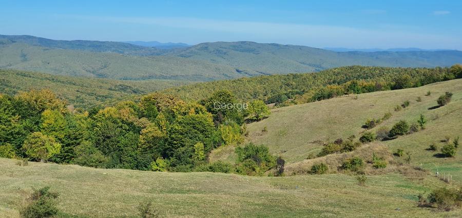 Vila de vanzare Valea Doftanei- Brebu - Campina - 9