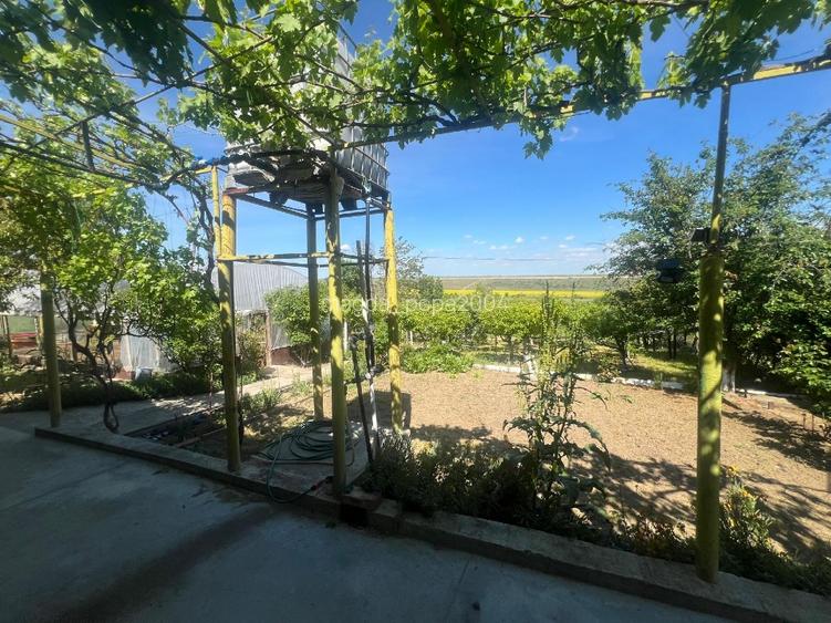 Vand casa cu livada si solar + spatiu comercial in sat Cismele (1498 mp) - 13