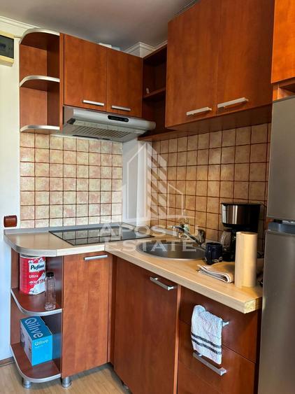 Garsoniera pet friendly,zona Buziasului