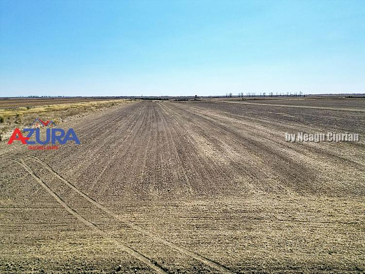 Teren agricol, 5HA, comasat, drum acces, Cateasca