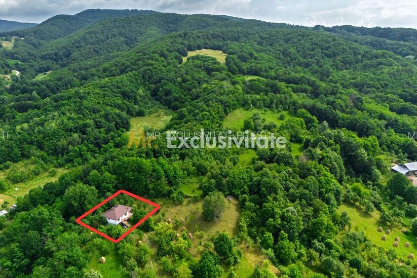 Casa moderna si casa bunicii + 6300 mp teren,Oaza autentica in Corbi Arges- - 22