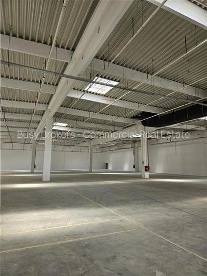 Spatiu Industrial - 3000 mp - Logistica - Productie - Depozitare - Distributie - 6
