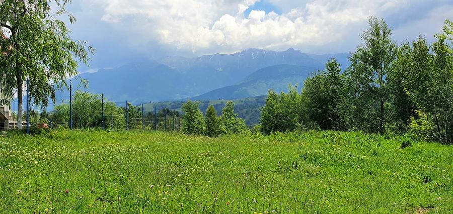 Teren pentru casa de vacanta , Pestera , Brasov