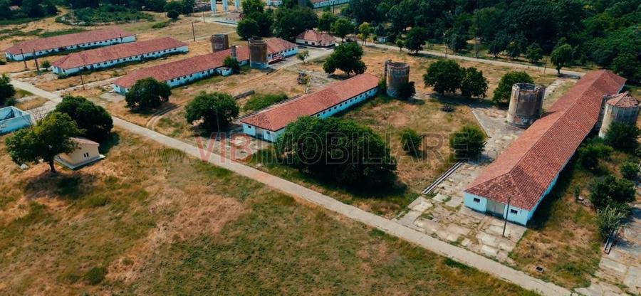 Ferma complet utilată – 30 ha teren comasat Timiș – Comuna Biled