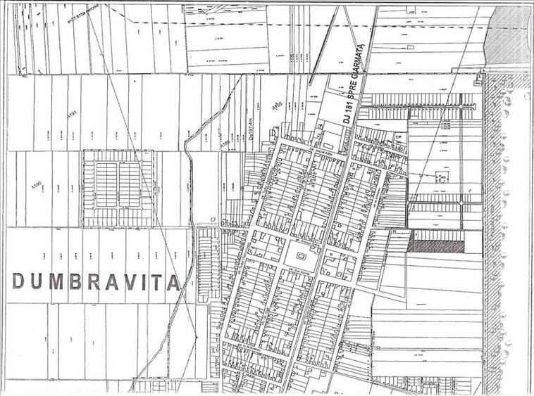 IMODIVERS--Superlocatie,Comercial, 1570mp,Dumbravita, 180E/mp