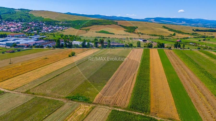 TEREN extravilan- 6 E/MP- CU PLANTATIE DE TRANDAFIRI! Teliu 7000mp - 8