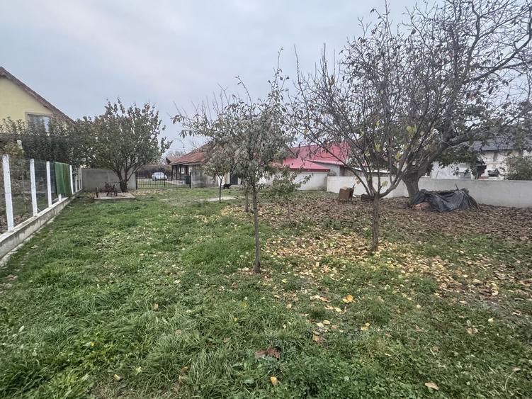 Casa Renovata Parter Becicherecu Mic,Vatra Veche,Teren Generos