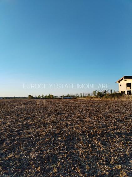 Ciolpani, spre Izvorani - COR, vanzare teren 5000mp. - 12