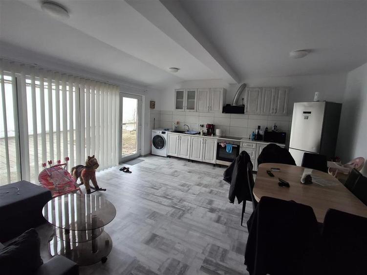Casa formata din 2 apartamente pivnita zona Turnisor