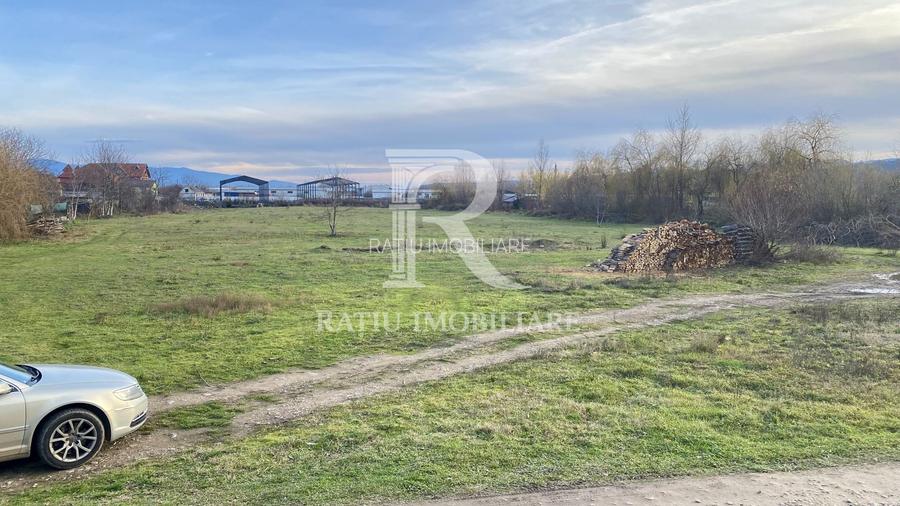 EXCLUSIV | TEREN INTRAVILAN | INVESTIȚIE | BEIUȘ – STR. PLOPILOR | 13.500 MP - 8