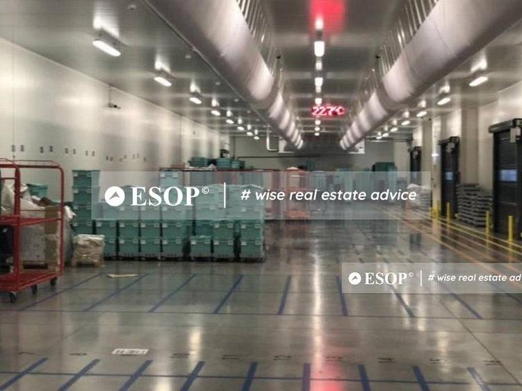 WDP Industrial Park Stefanesti, spatii industriale, 5.000 - 53.000mp