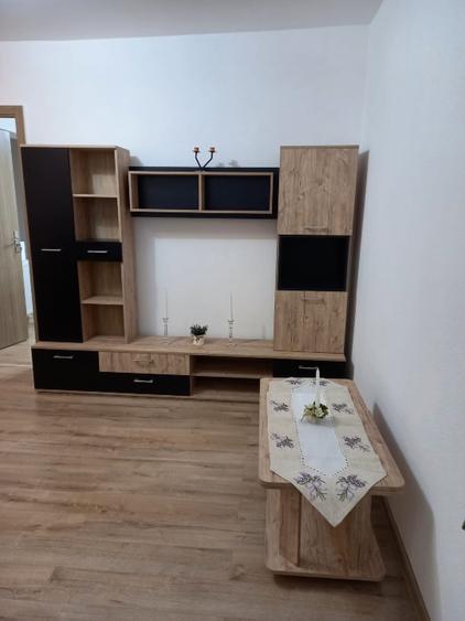 Apartament de inchiriat cu 2 camere, zona dambovita/sagului