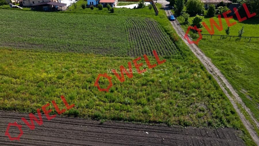 De vânzare teren intravilan în Baraolt, pe strada Baróti Szabó Dávid! - 9