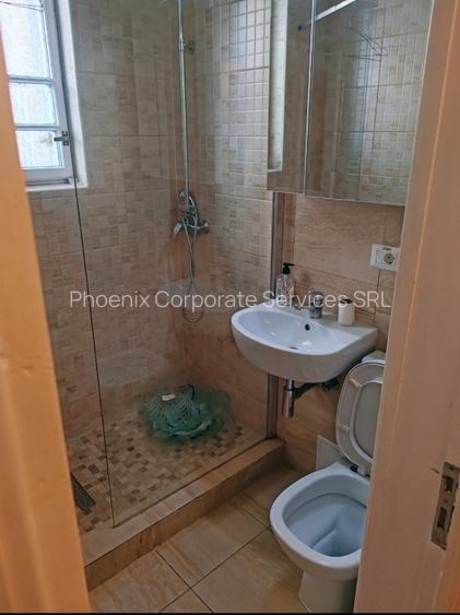 Vila cu prestigiu, D+P+E+M,  pozitie exceptionala langa Palatul  Cotroceni - 4