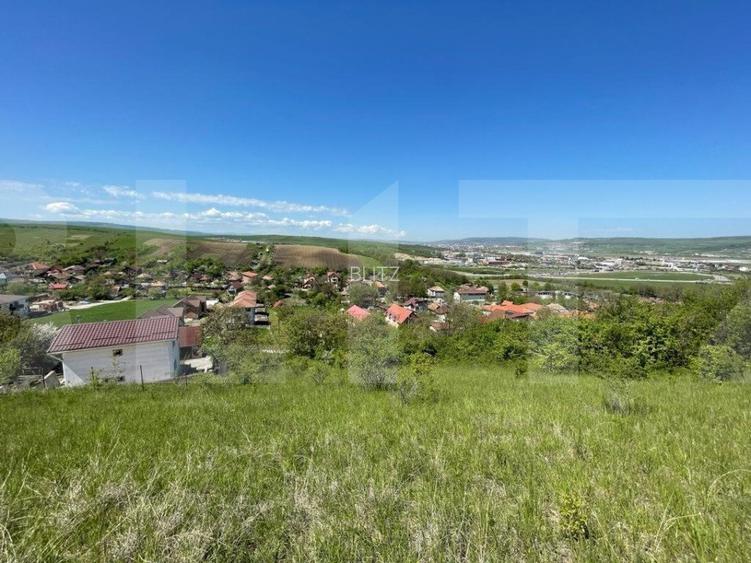 Teren de vanzare 5800 mp, front 32 ml, in zona de case Dezmir - 2