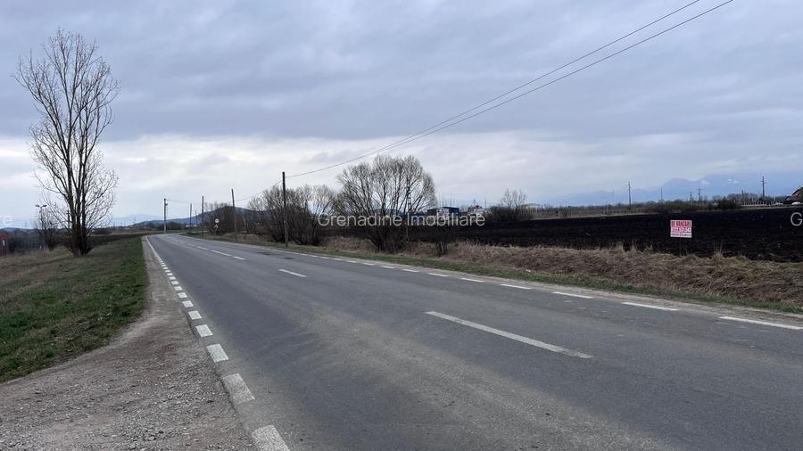 Teren 50000mp Extravilan-Intrare Halchiu-Cod 5235 - 3