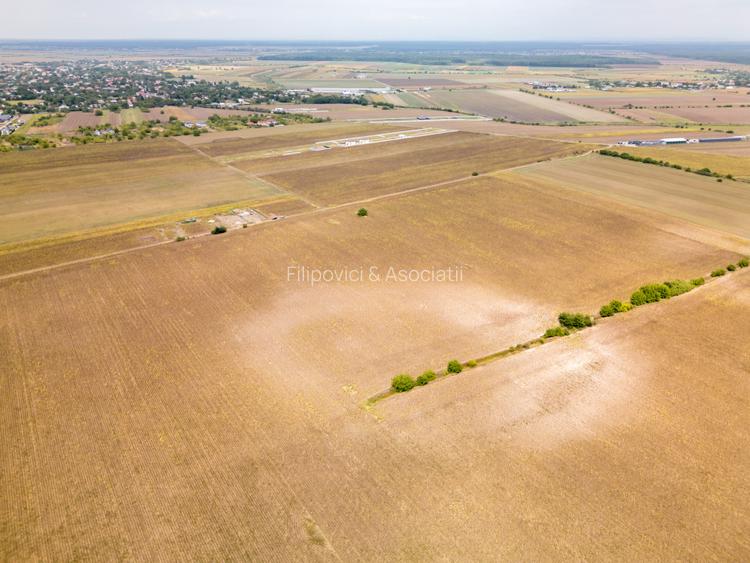 DASCALU – TEREN INTRAVILAN 11300 MP, INVESTITIE! - 9