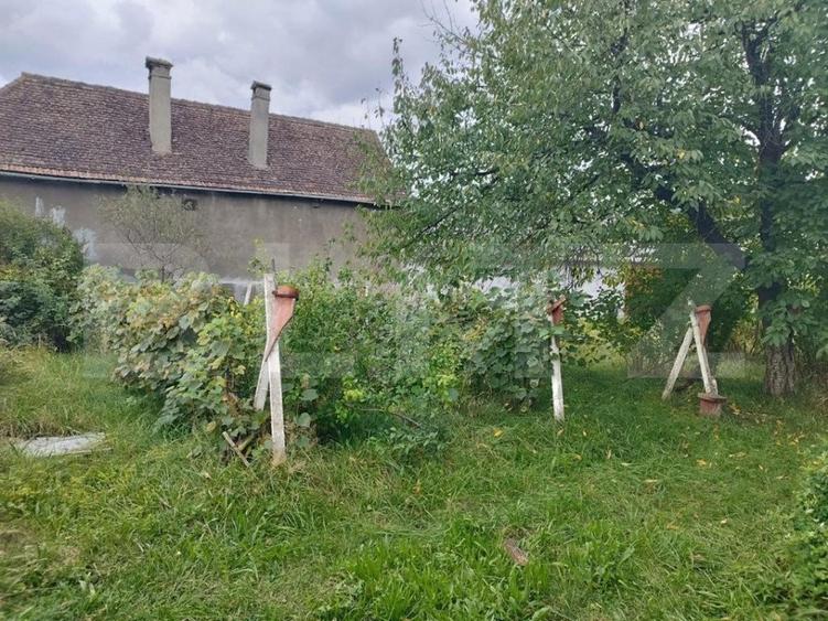 Casa pitoreasca în Viile Tecii cu o grădina de 26 de arii