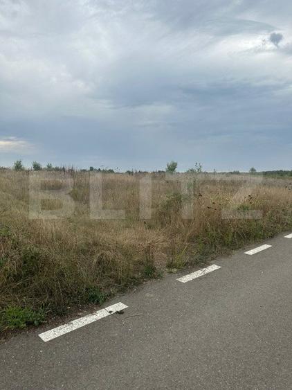Teren intravilan/extravilan, 1500 mp, Cazaci