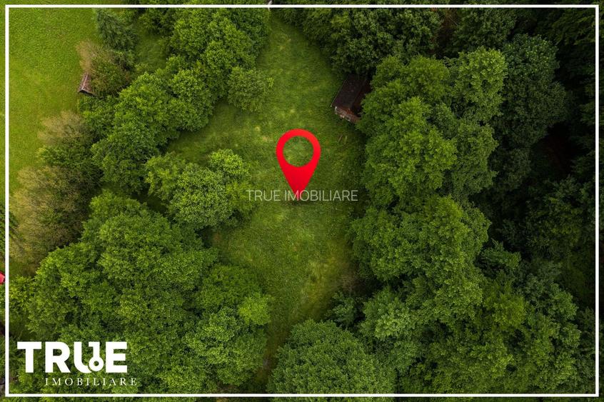 Teren intravilan 2.800 m² în Câmpu Cetății – liniște și natură - 12