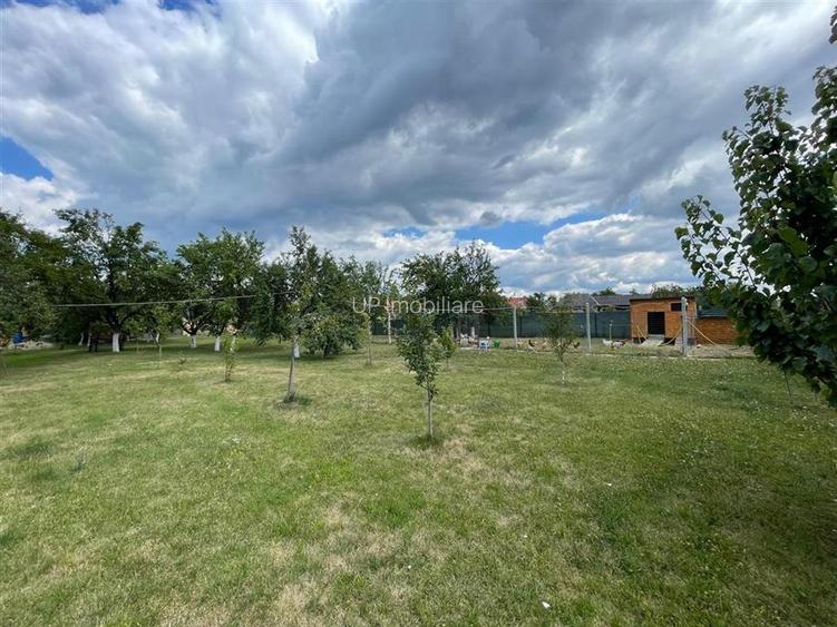 TEREN INTRAVILAN 8000 MP | PARTIAL IMPREJMUIT | PESTERE | BIHOR | - 3