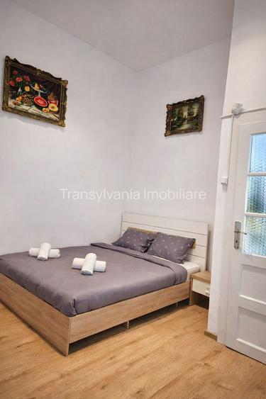 Apartament 1 Camera De Inchiriat | Ultracentral | Piata Unirii | UMF - 2