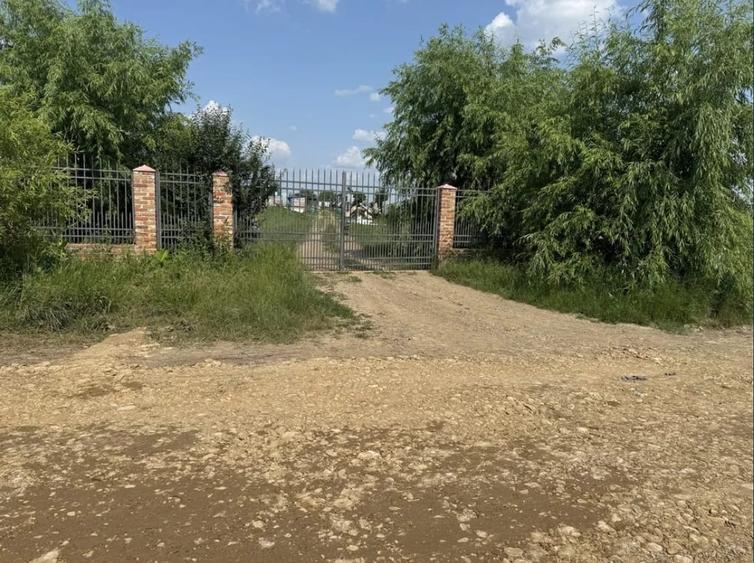 TEREN INTRAVILAN DE VÂNZARE – 3.015 MP – TUNARI– IDEAL INVESTIȚIE,DEZVOLTARE