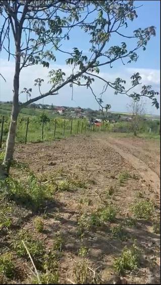 Teren de vanzare Comuna Comana-Giurgiu