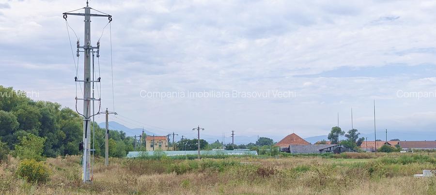 Pentru dezvoltatori - loturi de casa in Brasov - Cristian. - 7
