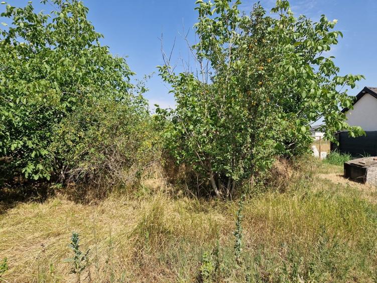 Domnesti - Ciutaci, vanzare 4 loturi de teren intravilan