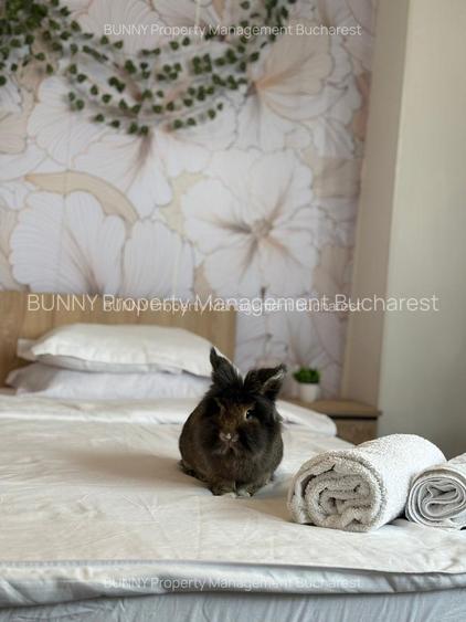 Unirii Metro | 3 Rooms | Boho Heaven 9A - 12