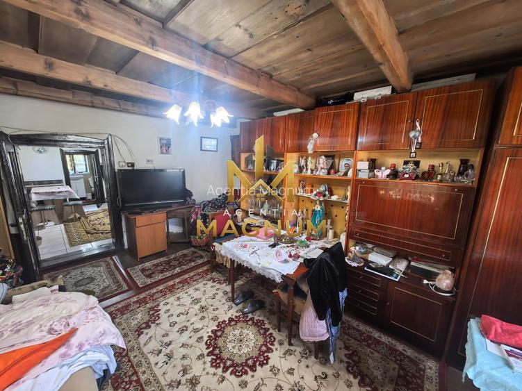 Casă P+M de vânzare | 450 mp teren | Centru Baia Sprie - 10