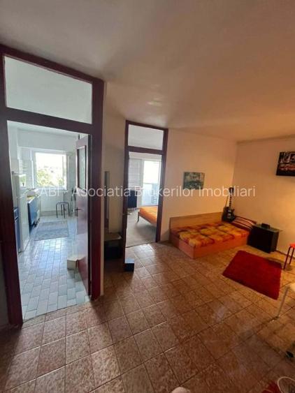 Teatrul Masca,garsoniera dubla transformata in 2 camere, Pet-Friendly - 8