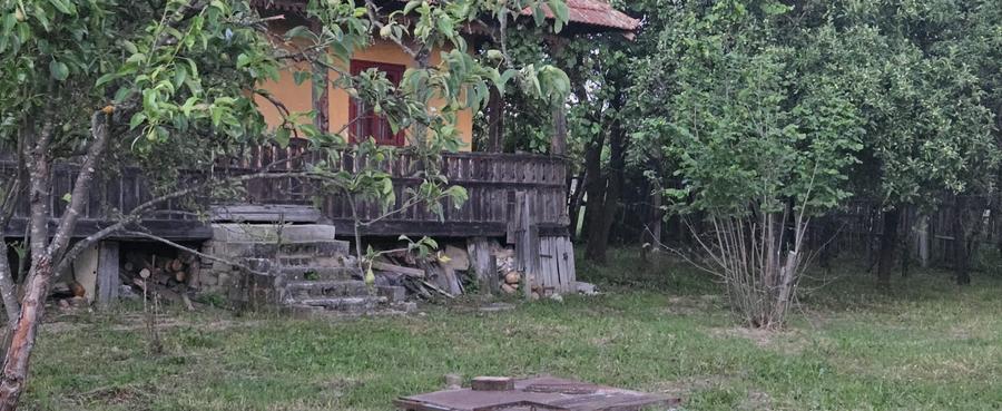 Casă cu 7.769 mp teren și pădure | Budieni | 53.000€