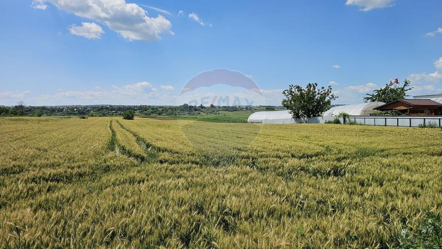 Teren 15,000mp Salcea-Prelipca, Suceava