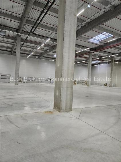 Spatiu Industrial - 7600 mp - Logistica - Productie - Depozitare - Distributie - 17