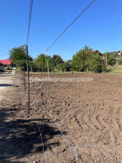 Teren intravilan 451mp cu utilitati, Tomesti - Chicerea - 6