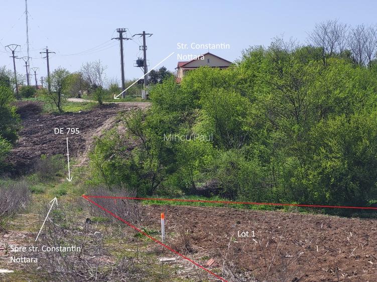 Intravilan vedere la lacul Snagov zona de vile noi - 5