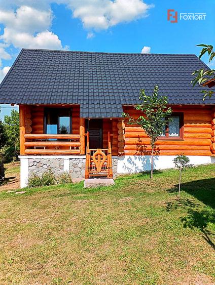 Cabane cu 7 camere de vanzare in Albac