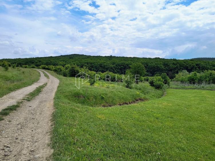 Oportunitate de investiție – 4 parcele în Corunca, 20 €/mp