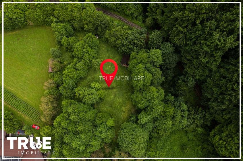 Teren intravilan 2.800 m² în Câmpu Cetății – liniște și natură - 13