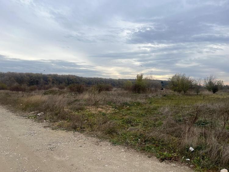 : Teren Dezvoltabil 4 Hectare | Voluntari, Ilfov