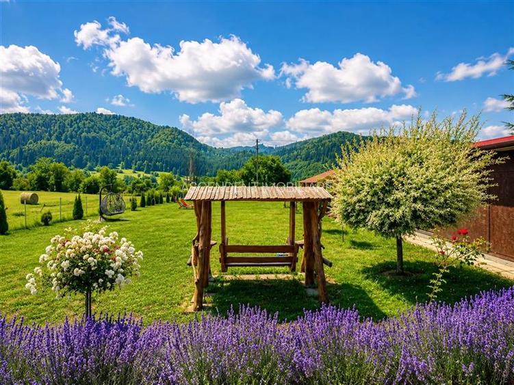 Refugiu pretios:jacuzzi, lemn masiv,2.000 mp teren,4 dormitoare, cuptor, investi - 35